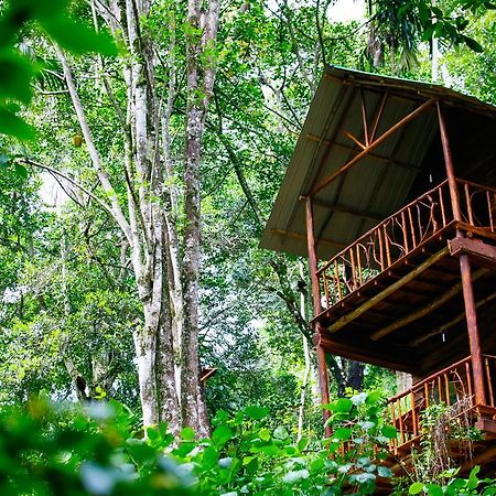 Ella Ecolodge Экстерьер фото