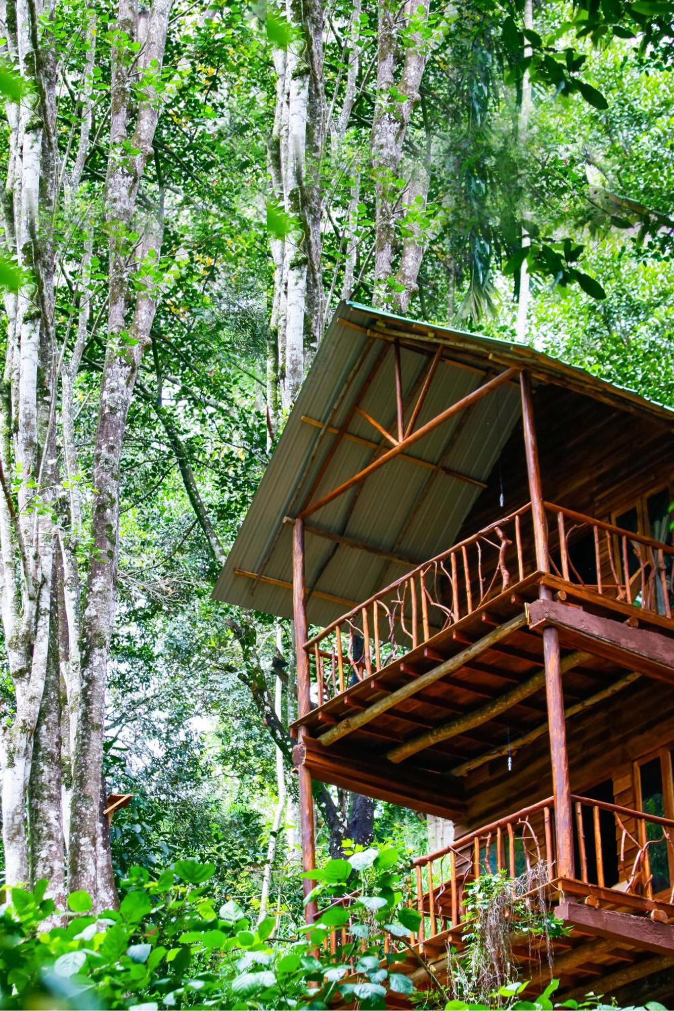 Ella Ecolodge Экстерьер фото
