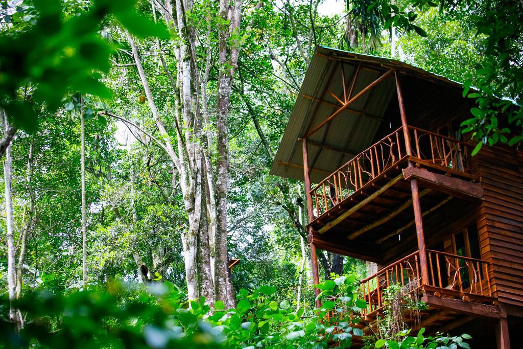 Ella Ecolodge Экстерьер фото