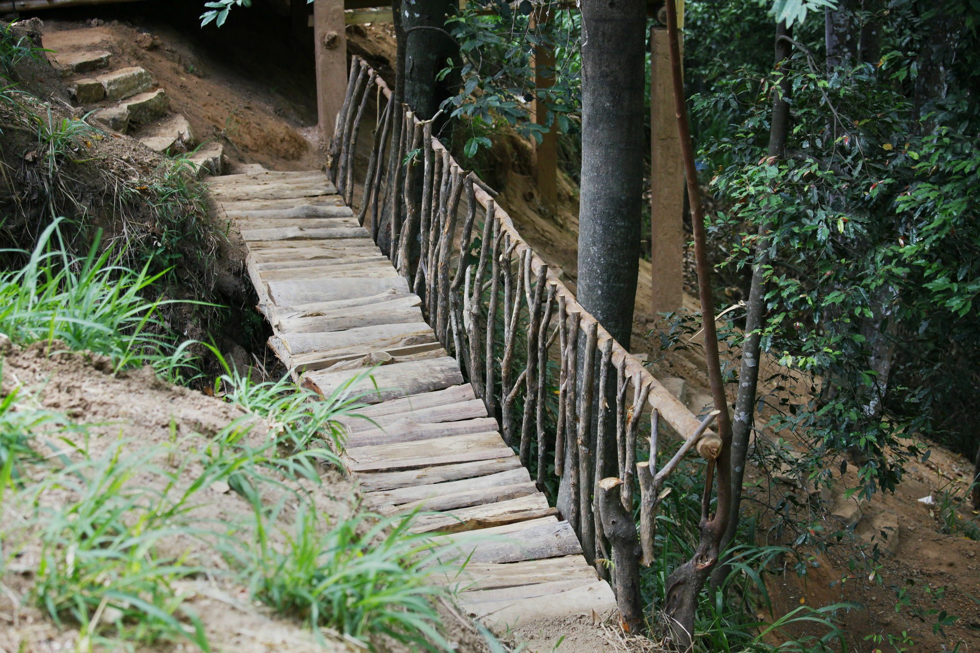Ella Ecolodge Экстерьер фото