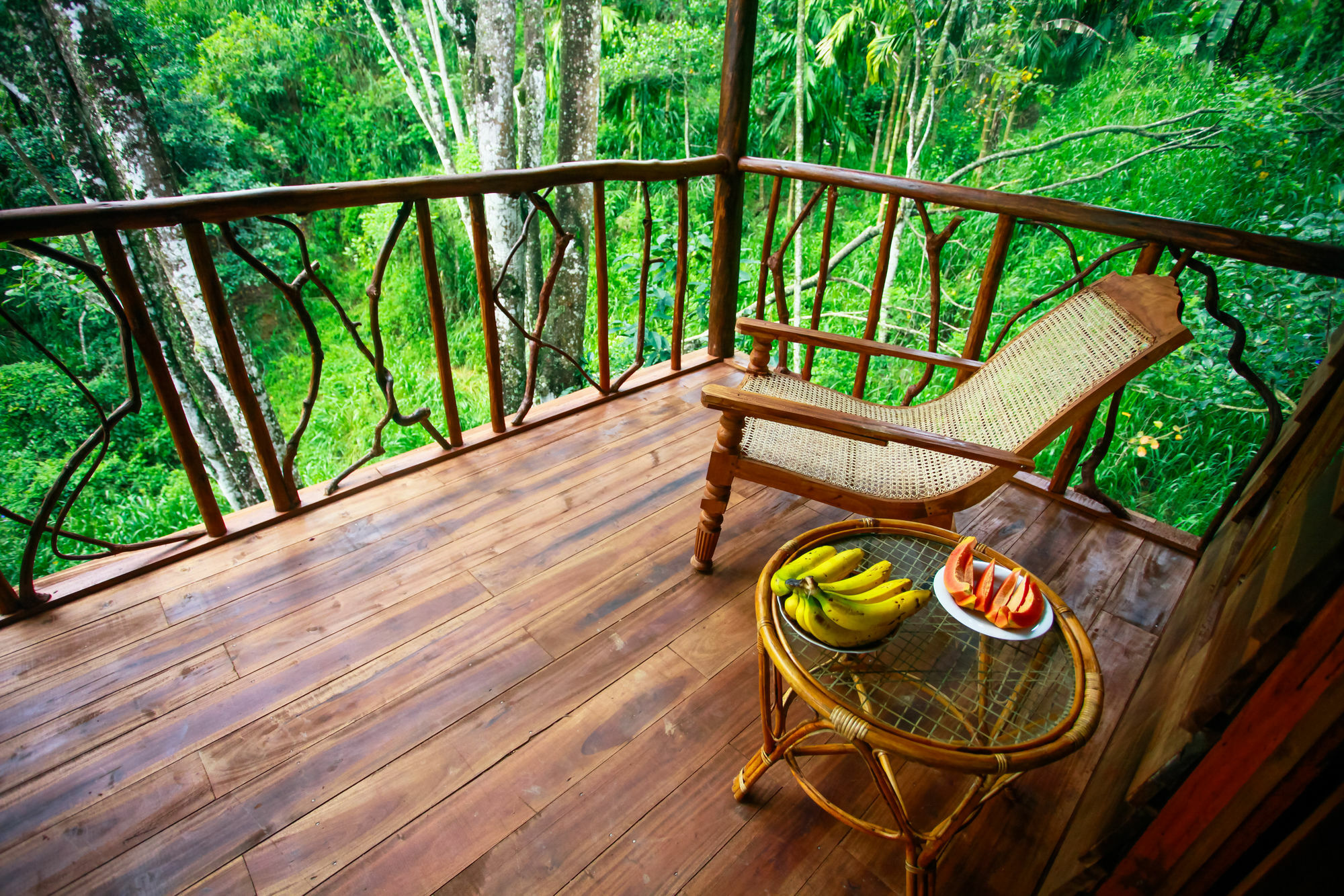 Ella Ecolodge Экстерьер фото