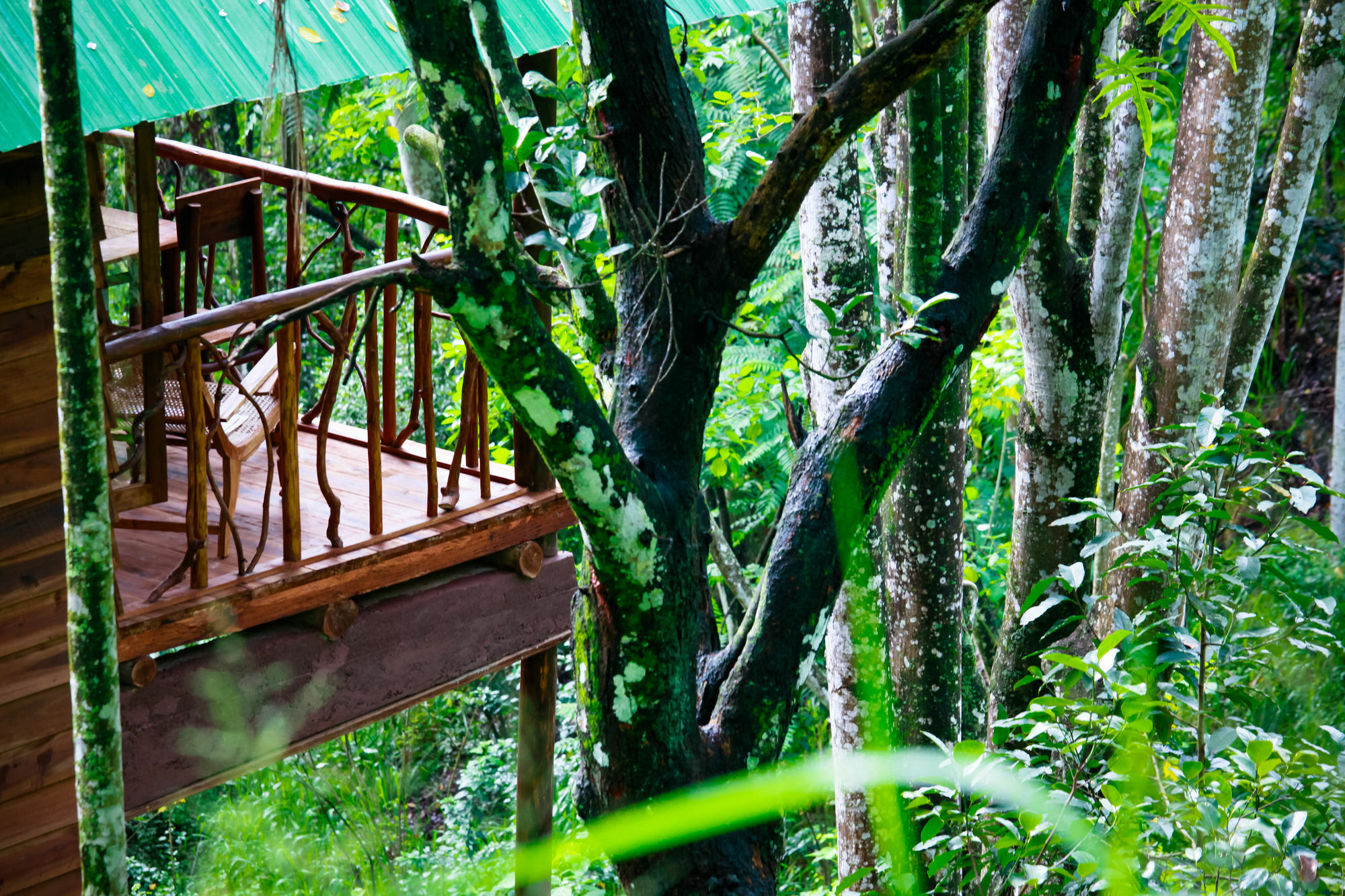 Ella Ecolodge Экстерьер фото