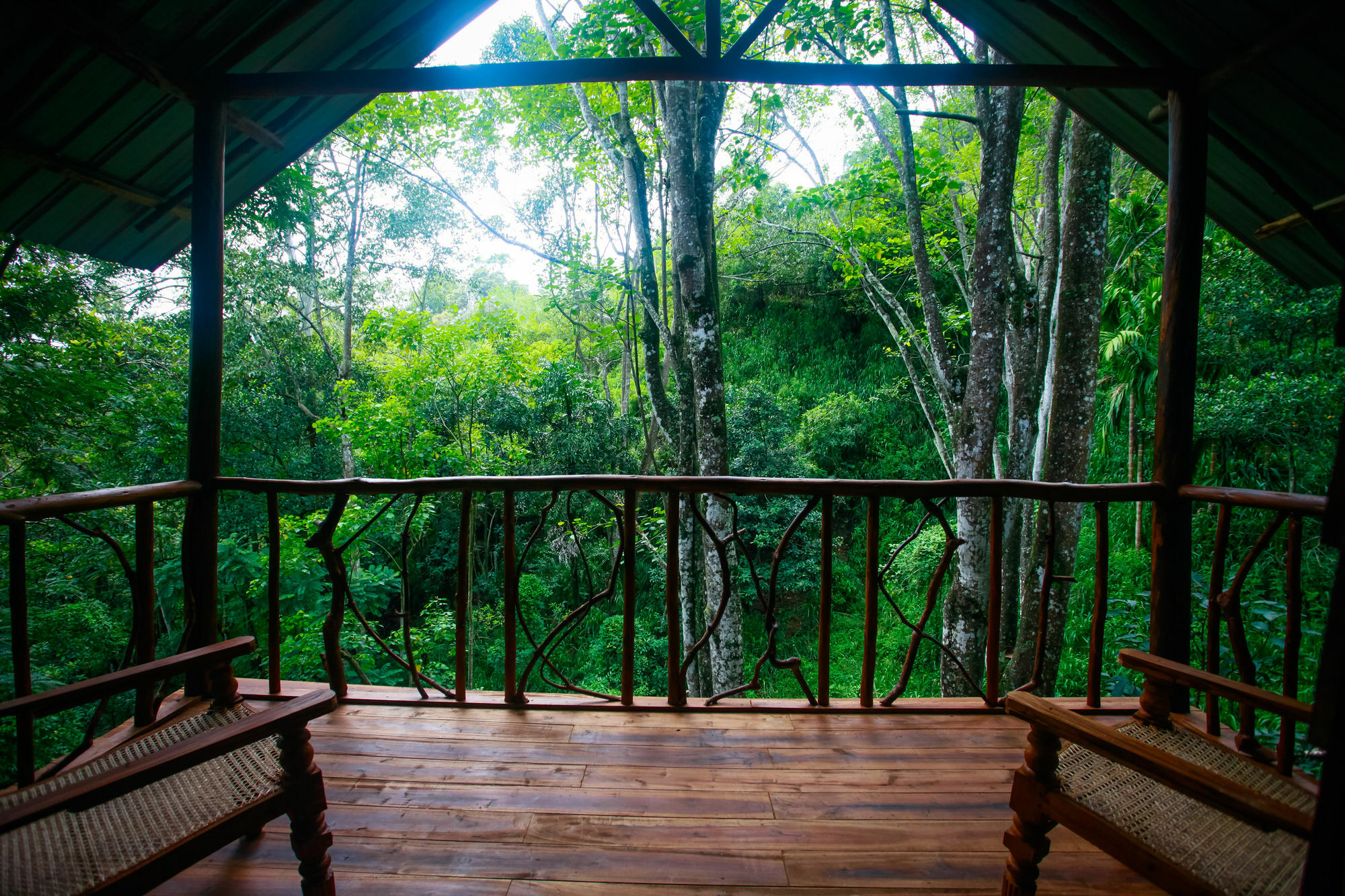 Ella Ecolodge Экстерьер фото