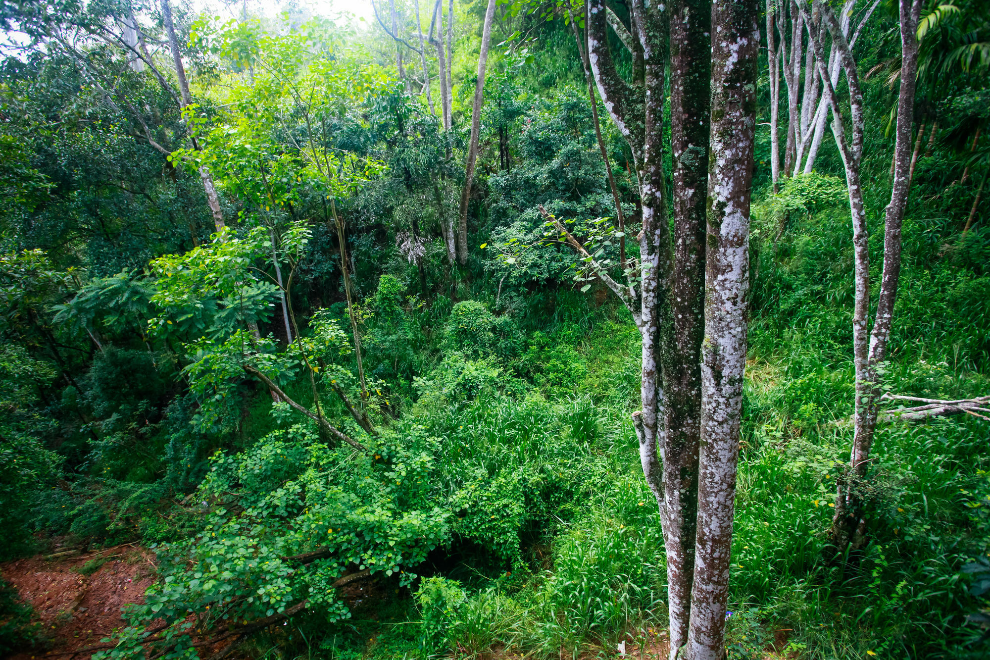 Ella Ecolodge Экстерьер фото